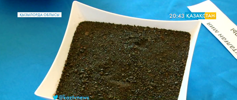 Кызылордада мия тамырын өңдеу зауыты ашылды