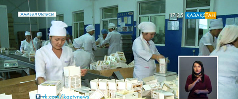 Мемлекеттік бағдарлама Жамбыл облысында кәсіпкерліктің дамуына серпін берді