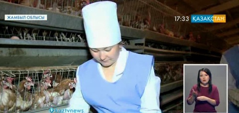 «Бәйтерек» холдингі жаңа бағдарламаны қолға алды