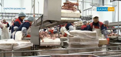 «Ордабасы құс» фабрикасының өнімділігі 2,5 есеге артпақ
