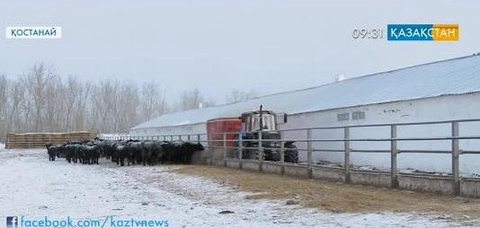 Қостанай облысының агроөнеркәсіп кешені де мемлекеттік қолдауға ие