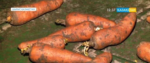 Шығысқазақстанда ауылшаруашылық саласының тынысы кеңейіп келеді