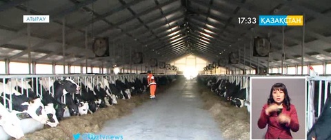 Атырауда 2014 жылы ауыл шаруашылығы өнімдерін өндірушілерге 500 миллион теңге несие берілген