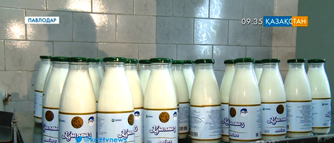 Павлодардағы «Сағып» шаруа қожалығы қымызды шетелге шығара бастады