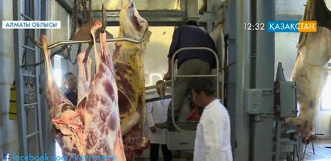 Алматы облысының Сарыөзек ауылында ет комбинаты іске қосылды