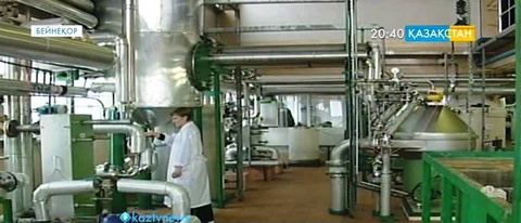 ДСҰ-ға кіру ауыл шаруашылығының дамуына серпін береді