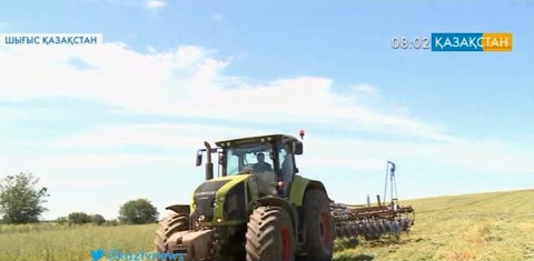 Шығыс Қазақстанның Үржар ауданында жыл санап егістік көлемі ұлғайып келеді