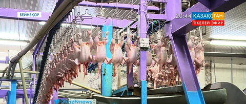 Ұлттық экономика министрлігі Ресей мен Украинадан әкелінетін құс етін сатуға тыйым салды