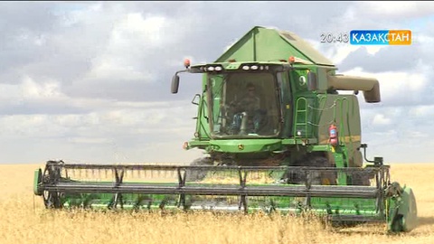 Республика бойынша биыл 17 миллион тонна астық жиналмақ