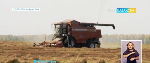 Солтүстік Қазақстанда майлы дақылдарды ору науқаны басталды