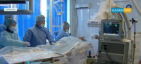 Халықаралық ми күні белгіленді