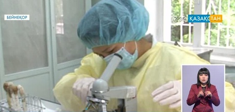 ОҚО: Қырым қанды безгегіне шалдығудың 5-ші дерегі анықталды (толығырақ)