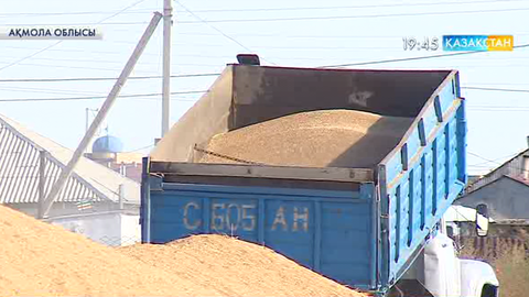 Елімізде 14,4 миллион тонна астық орылды