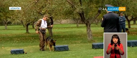 В Алматы начался чемпионат служебных собак СНГ