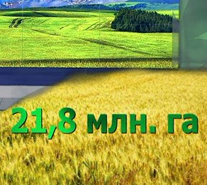 Биыл 21,8 миллион гектар жерге дәнді де майлы дақылдар егу жоспарланып отыр