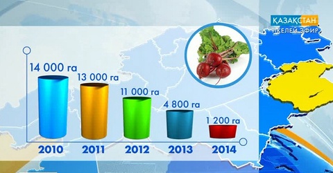 Қазақстанда қант қызылшасын өндіру бәсеңдеп тұр