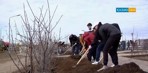 Астанада 4 мыңға жуық ағаш егіледі (БЕЙНЕБАЯН)