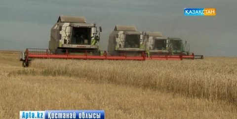 Қызу науқанға ауа райы кедергі болып тұр