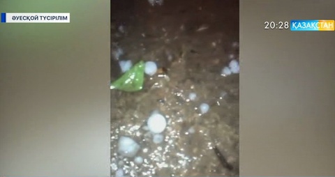 Шымкентте диаметрі 3 сантиметрге дейін жететін бұршақты жауын жауды