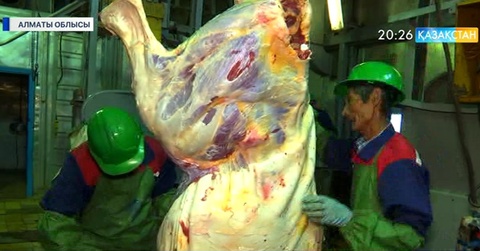 Алматы облысында құрылған кооперативтер өз жемісін бере бастады