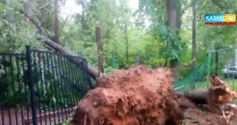 Мәскеуде дауылдан 11 адам қаза тапты