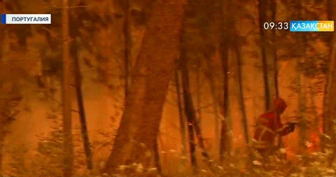 Португалия өрттен 62 адам қаза тапты