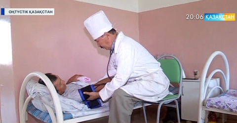 ОҚО-да 33 адамды қарақұрт шақты