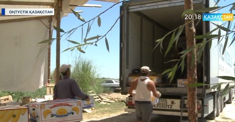 ОҚО диқандары шетелге 150 мың тоннадан астам қауын-қарбыз экспорттады