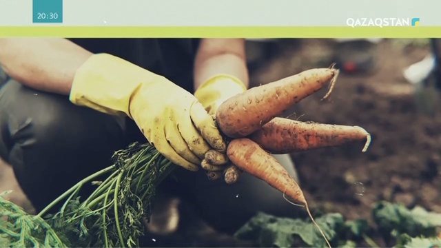 Кәсіптен нәсіп. Ауыл шаруашылығын қолдау
