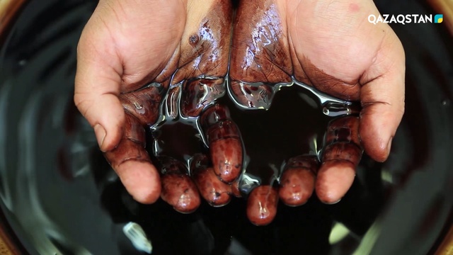 «Қойнауы тұнған қазына». Деректі фильм