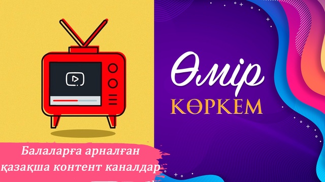 25-бағдарлама