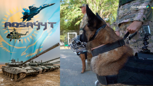 Кинология қызметіне 25 жыл.«Бекет-2022» кешенді оқу-жаттығуы. Орал қаласы