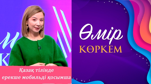 51-бағдарлама