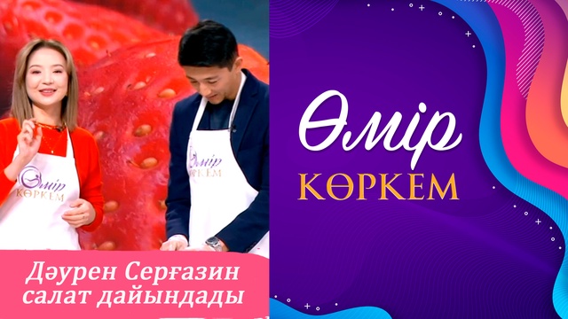 61-бағдарлама