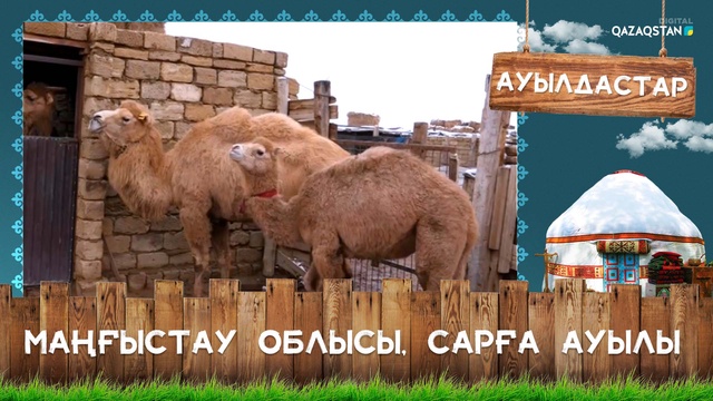 Маңғыстау облысы, Сарға ауылы