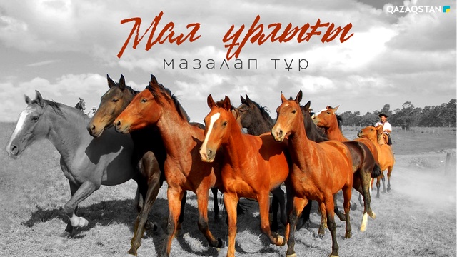 Мал ұрлығы мазалап тұр