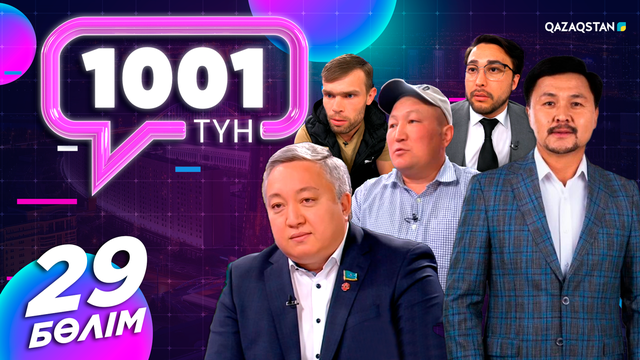 29-бағдарлама