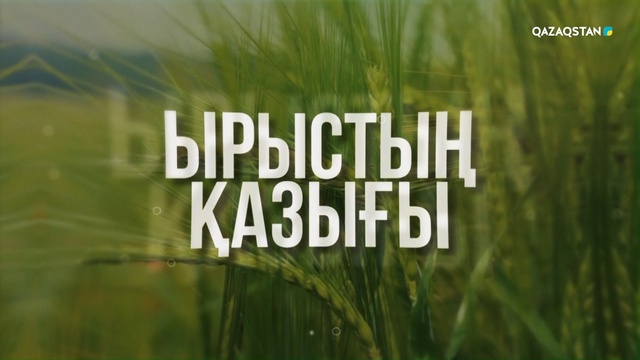 Сүт зауыты өнімін көбейтті