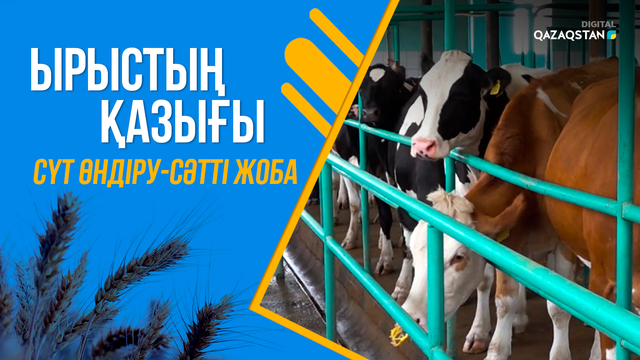 Дипломмен – ауылға