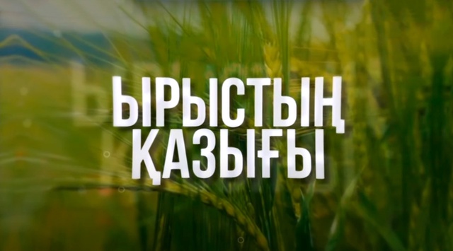 Бес биеден басталған бизнес