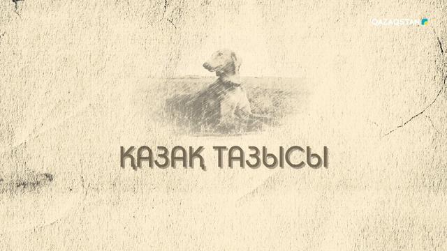 Қазақ тазысы