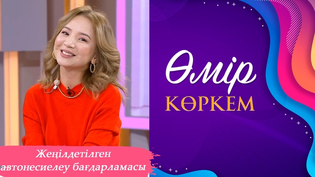 93-бағдарлама