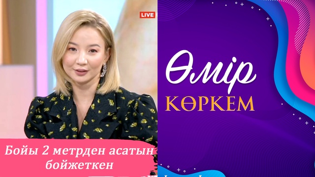 115-бағдарлама