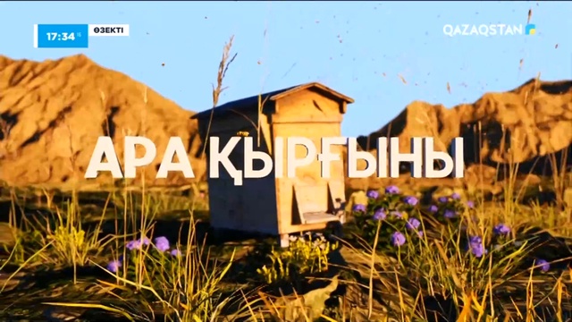 Өзекті. Ара қырғыны