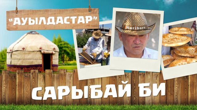 12-бағдарлама