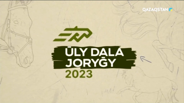 11-бағдарлама