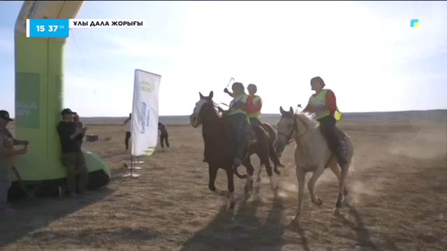 13-бағдарлама