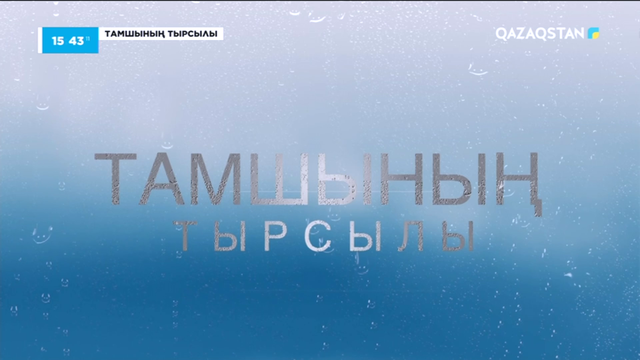 «Тамшының тырсылы». Арнайы жоба