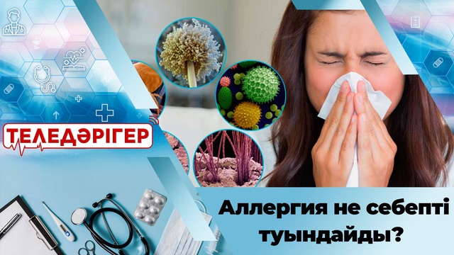 Аллергия не себептен туындайды?
