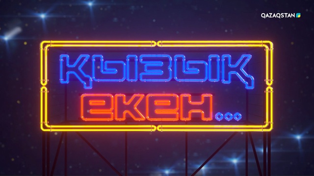 29-бағдарлама